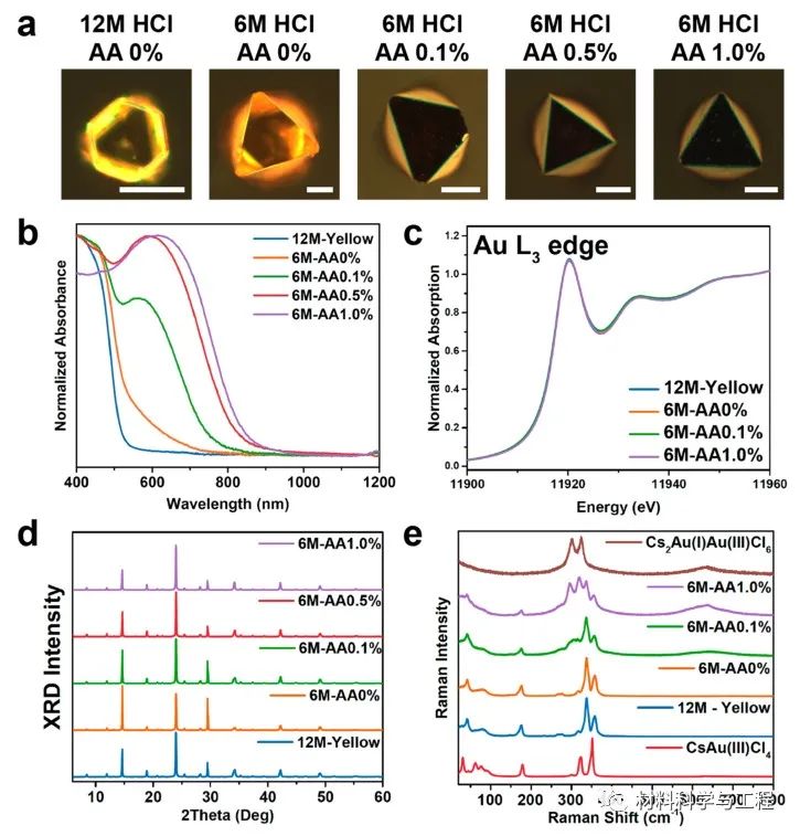 布鲁克收购Nanophoton 增强分子显微镜研究解决方案产品组合(图1)